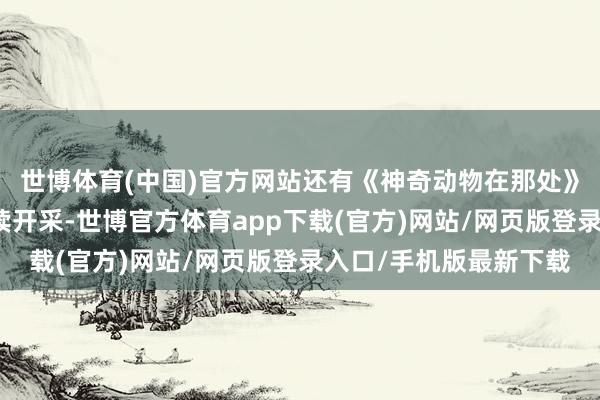 世博体育(中国)官方网站还有《神奇动物在那处》等谋划的繁衍电影陆续开采-世博官方体育app下载(官方)网站/网页版登录入口/手机版最新下载