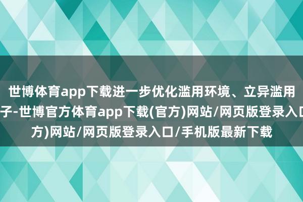 世博体育app下载进一步优化滥用环境、立异滥用场景、优化配套法子-世博官方体育app下载(官方)网站/网页版登录入口/手机版最新下载