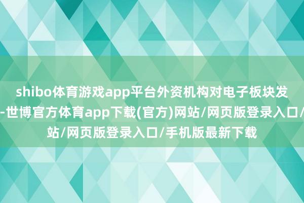 shibo体育游戏app平台外资机构对电子板块发达出浓厚的趣味-世博官方体育app下载(官方)网站/网页版登录入口/手机版最新下载