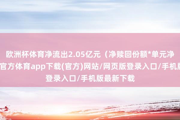 欧洲杯体育净流出2.05亿元(净赎回份额*单元净值)-世博官方体育app下载(官方)网站/网页版登录入口/手机版最新下载