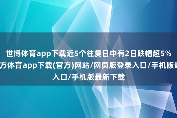 世博体育app下载近5个往复日中有2日跌幅超5%-世博官方体育app下载(官方)网站/网页版登录入口/手机版最新下载