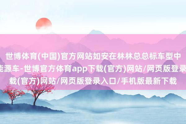 世博体育(中国)官方网站如安在林林总总标车型中挑选出性价比高的新能源车-世博官方体育app下载(官方)网站/网页版登录入口/手机版最新下载