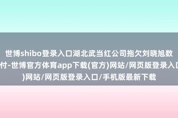 世博shibo登录入口湖北武当红公司拖欠刘晓旭数十万公约款无力支付-世博官方体育app下载(官方)网站/网页版登录入口/手机版最新下载