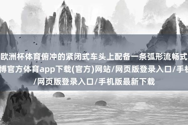 欧洲杯体育俯冲的紧闭式车头上配备一条弧形流畅式LED灯带-世博官方体育app下载(官方)网站/网页版登录入口/手机版最新下载