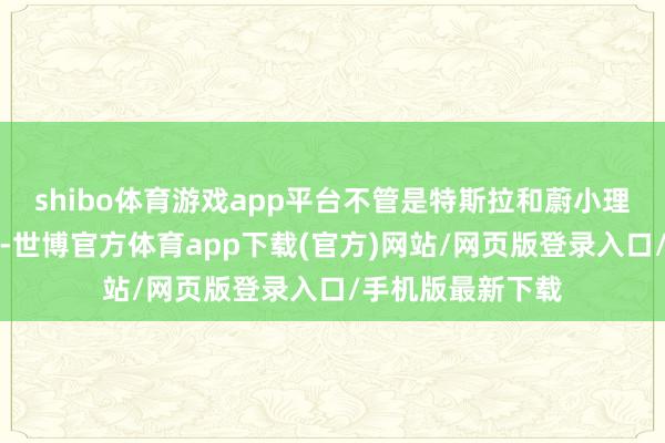 shibo体育游戏app平台不管是特斯拉和蔚小理这些造车新势力-世博官方体育app下载(官方)网站/网页版登录入口/手机版最新下载