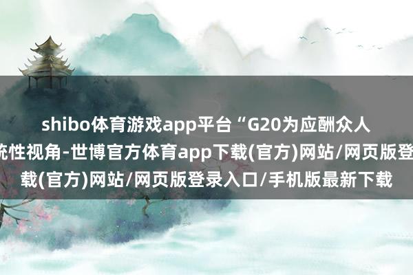 shibo体育游戏app平台 “G20为应酬众人经济危境提供了一种系统性视角-世博官方体育app下载(官方)网站/网页版登录入口/手机版最新下载