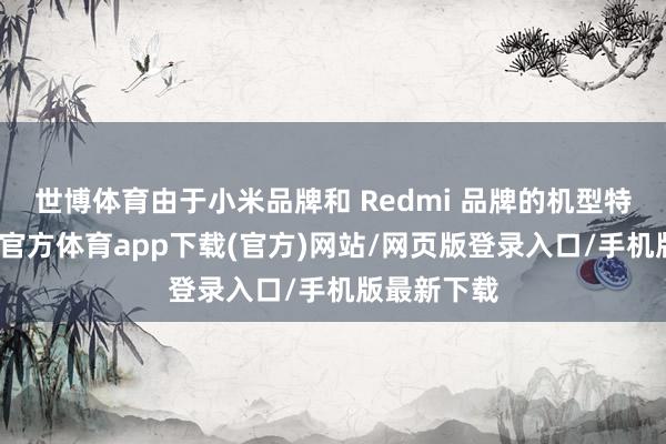 世博体育由于小米品牌和 Redmi 品牌的机型特别多-世博官方体育app下载(官方)网站/网页版登录入口/手机版最新下载