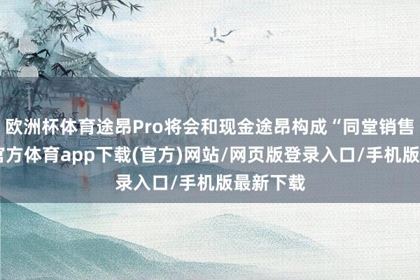 欧洲杯体育途昂Pro将会和现金途昂构成“同堂销售”-世博官方体育app下载(官方)网站/网页版登录入口/手机版最新下载
