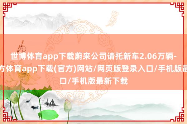 世博体育app下载蔚来公司请托新车2.06万辆-世博官方体育app下载(官方)网站/网页版登录入口/手机版最新下载