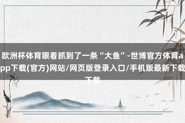 欧洲杯体育眼看抓到了一条“大鱼”-世博官方体育app下载(官方)网站/网页版登录入口/手机版最新下载