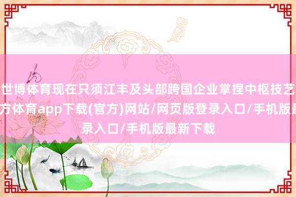 世博体育现在只须江丰及头部跨国企业掌捏中枢技艺-世博官方体育app下载(官方)网站/网页版登录入口/手机版最新下载