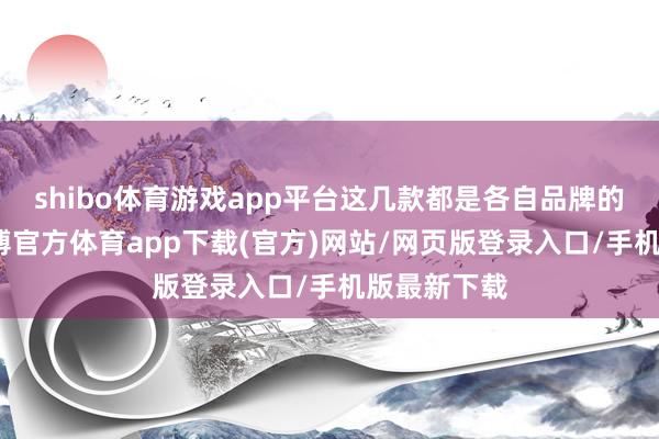 shibo体育游戏app平台这几款都是各自品牌的代表作-世博官方体育app下载(官方)网站/网页版登录入口/手机版最新下载