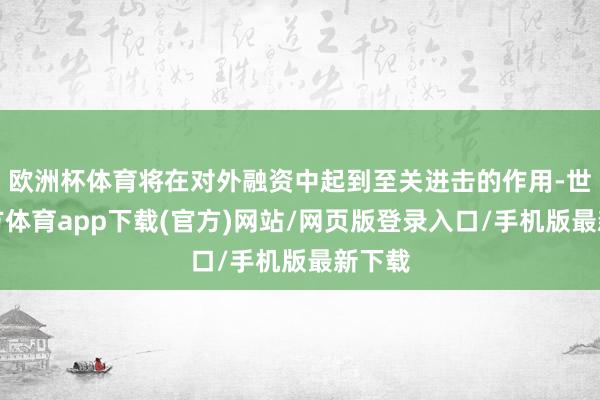 欧洲杯体育将在对外融资中起到至关进击的作用-世博官方体育app下载(官方)网站/网页版登录入口/手机版最新下载