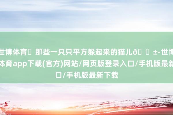 世博体育 那些一只只平方躲起来的猫儿🐱-世博官方体育app下载(官方)网站/网页版登录入口/手机版最新下载