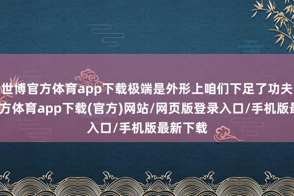世博官方体育app下载极端是外形上咱们下足了功夫-世博官方体育app下载(官方)网站/网页版登录入口/手机版最新下载