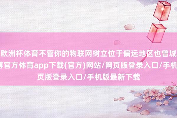 欧洲杯体育不管你的物联网树立位于偏远地区也曾城市中心-世博官方体育app下载(官方)网站/网页版登录入口/手机版最新下载