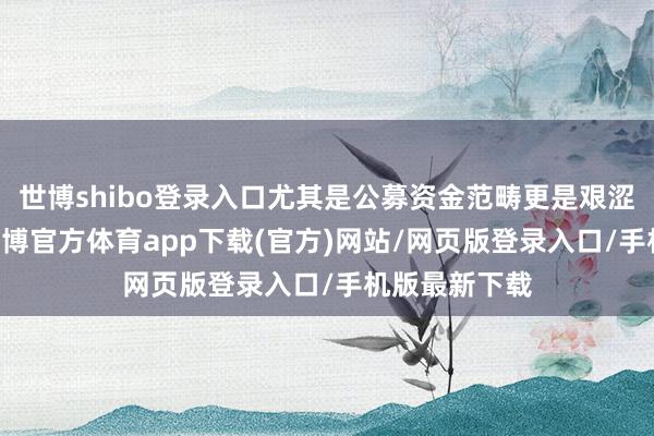世博shibo登录入口尤其是公募资金范畴更是艰涩了30万亿-世博官方体育app下载(官方)网站/网页版登录入口/手机版最新下载