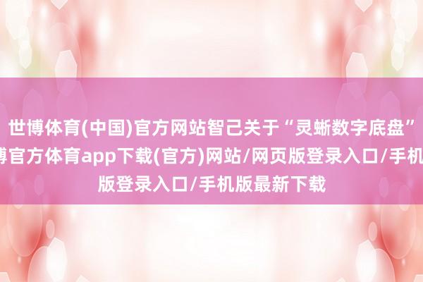 世博体育(中国)官方网站智己关于“灵蜥数字底盘”的界说-世博官方体育app下载(官方)网站/网页版登录入口/手机版最新下载