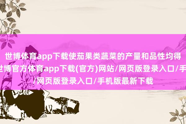 世博体育app下载使茄果类蔬菜的产量和品性均得到显耀普及-世博官方体育app下载(官方)网站/网页版登录入口/手机版最新下载