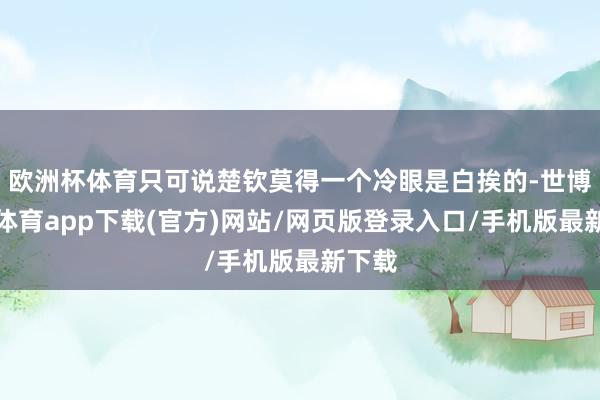 欧洲杯体育只可说楚钦莫得一个冷眼是白挨的-世博官方体育app下载(官方)网站/网页版登录入口/手机版最新下载
