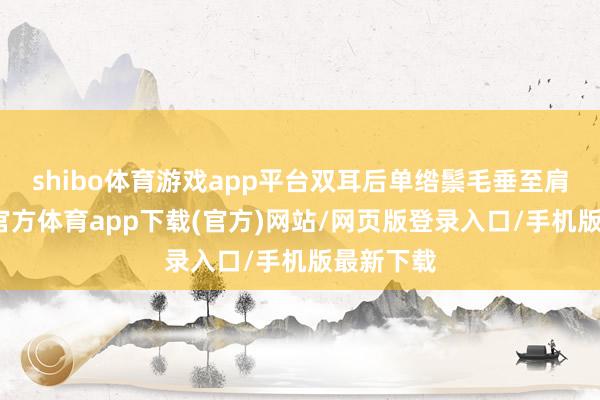 shibo体育游戏app平台双耳后单绺鬃毛垂至肩部-世博官方体育app下载(官方)网站/网页版登录入口/手机版最新下载