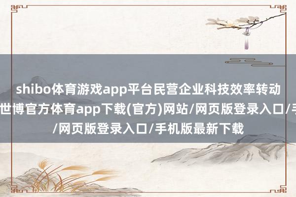 shibo体育游戏app平台民营企业科技效率转动存在多重阻滞-世博官方体育app下载(官方)网站/网页版登录入口/手机版最新下载
