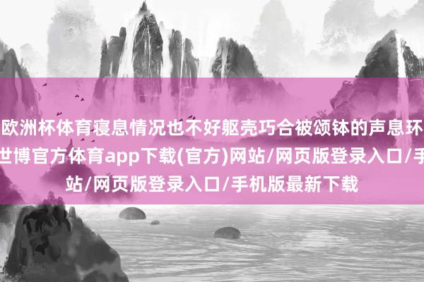 欧洲杯体育寝息情况也不好躯壳巧合被颂钵的声息环绕~脑袋放空-世博官方体育app下载(官方)网站/网页版登录入口/手机版最新下载