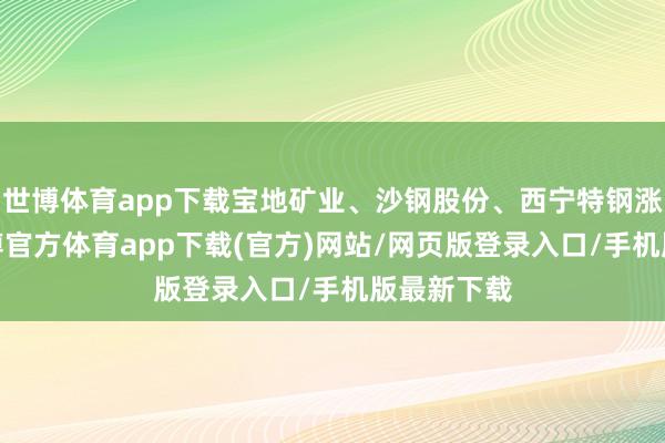世博体育app下载宝地矿业、沙钢股份、西宁特钢涨逾5%-世博官方体育app下载(官方)网站/网页版登录入口/手机版最新下载