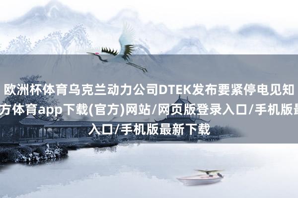 欧洲杯体育乌克兰动力公司DTEK发布要紧停电见知-世博官方体育app下载(官方)网站/网页版登录入口/手机版最新下载
