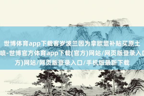 世博体育app下载客岁波兰因为拿欧盟补贴买原土诞生被法国德国狂喷-世博官方体育app下载(官方)网站/网页版登录入口/手机版最新下载