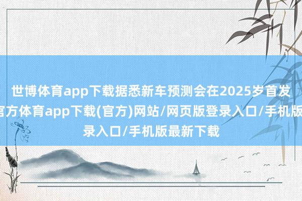 世博体育app下载据悉新车预测会在2025岁首发布-世博官方体育app下载(官方)网站/网页版登录入口/手机版最新下载