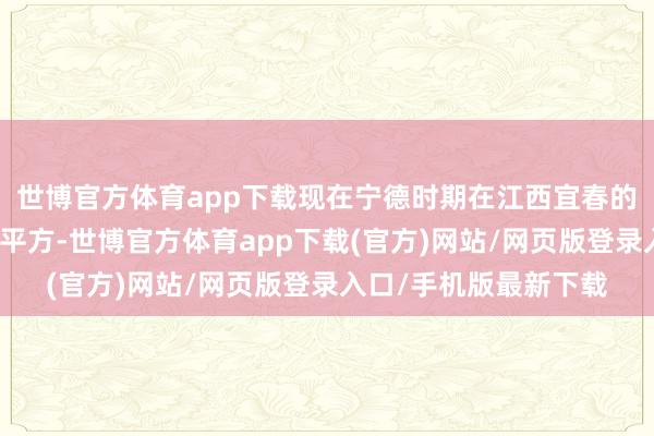 世博官方体育app下载现在宁德时期在江西宜春的锂矿项生分产经营均平方-世博官方体育app下载(官方)网站/网页版登录入口/手机版最新下载