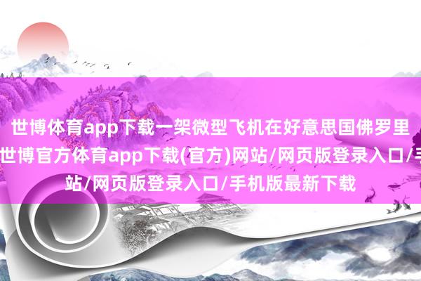 世博体育app下载一架微型飞机在好意思国佛罗里达州隔邻坠毁-世博官方体育app下载(官方)网站/网页版登录入口/手机版最新下载