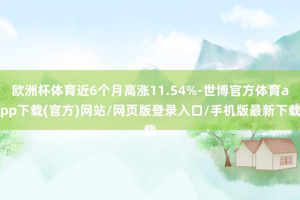 欧洲杯体育近6个月高涨11.54%-世博官方体育app下载(官方)网站/网页版登录入口/手机版最新下载