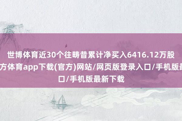 世博体育近30个往畴昔累计净买入6416.12万股-世博官方体育app下载(官方)网站/网页版登录入口/手机版最新下载
