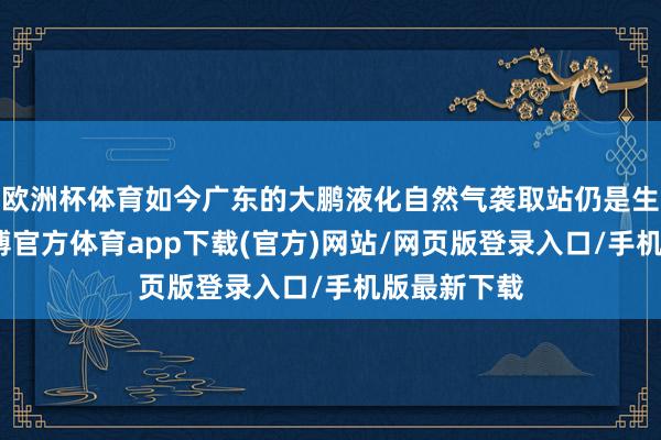 欧洲杯体育如今广东的大鹏液化自然气袭取站仍是生效出鱼-世博官方体育app下载(官方)网站/网页版登录入口/手机版最新下载