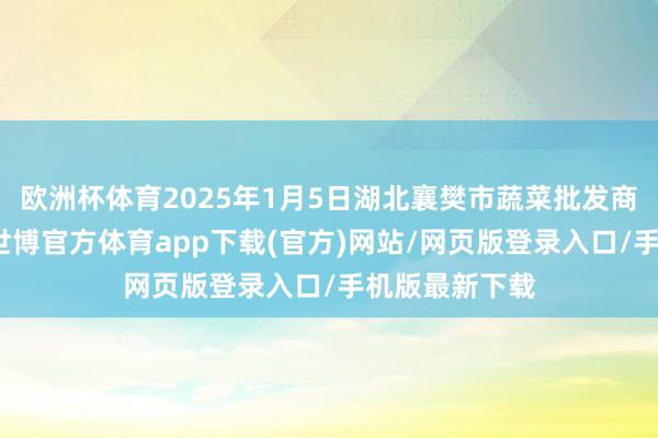 欧洲杯体育2025年1月5日湖北襄樊市蔬菜批发商场价钱行情-世博官方体育app下载(官方)网站/网页版登录入口/手机版最新下载