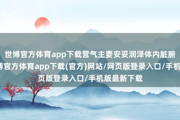 世博官方体育app下载营气主要安妥润泽体内脏腑和经络-世博官方体育app下载(官方)网站/网页版登录入口/手机版最新下载