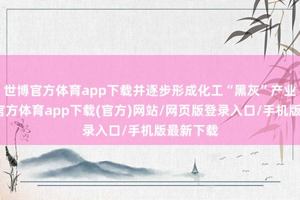 世博官方体育app下载并逐步形成化工“黑灰”产业链-世博官方体育app下载(官方)网站/网页版登录入口/手机版最新下载